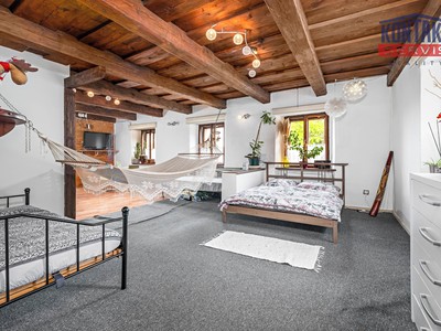 Pronájem bytu 1+kk 50 m² (Jednopodlažní)