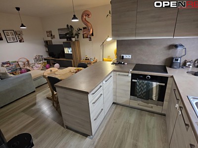 Pronájem bytu 2+kk 57 m² (Jednopodlažní)