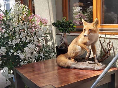 Prodej bytu 3+kk 370 m² (Jednopodlažní)