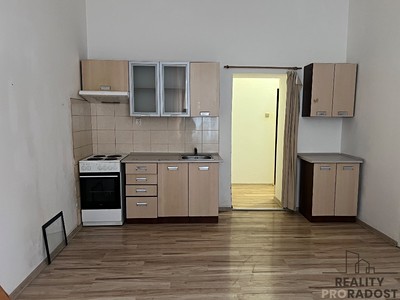 Pronájem bytu 1+1 56 m²