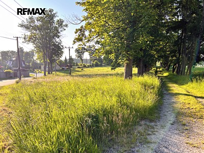 Prodej  louky 7 210 m²