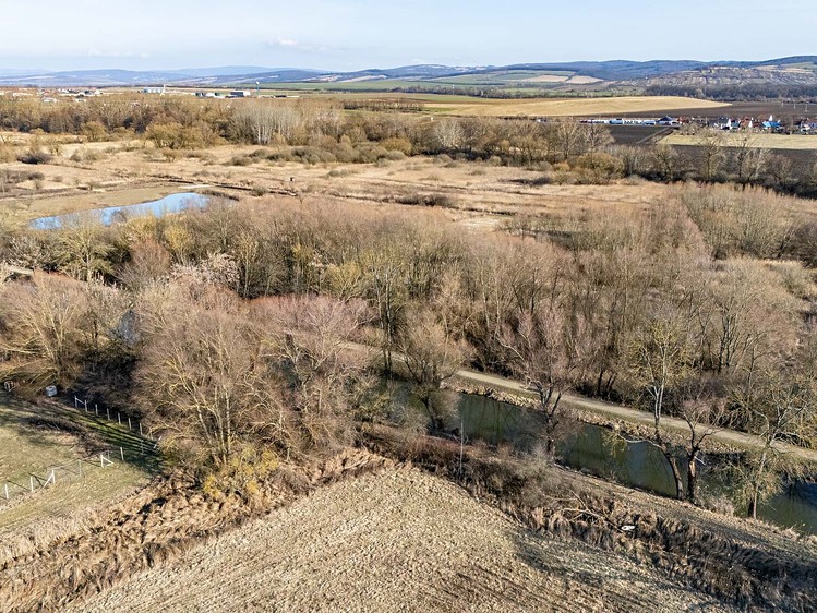 Prodej pozemku, 4 647 m² (5 z 7)