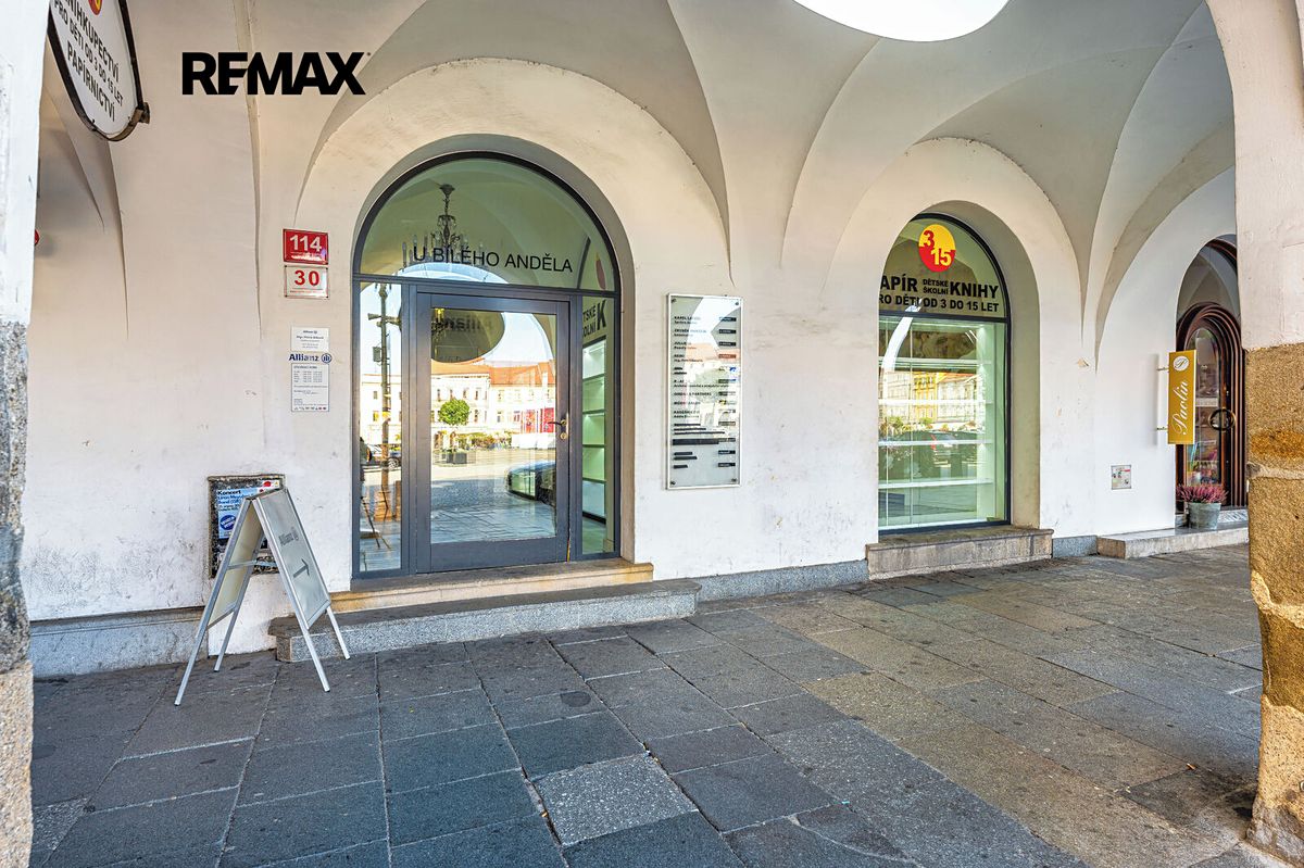 Prodej památky 593 m², pozemek 325 m² – fotografie 5