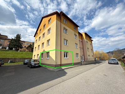 Pronájem bytu 1+kk 48 m² (Jednopodlažní)