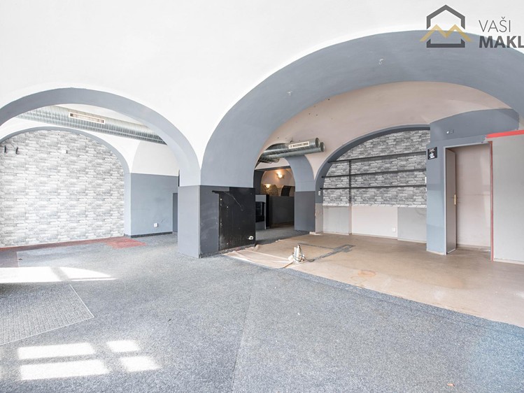 Будинок на продаж, 525 м² (3 з 13)