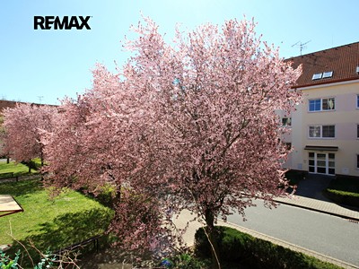 Prodej bytu 2+1 55 m² (Jednopodlažní)