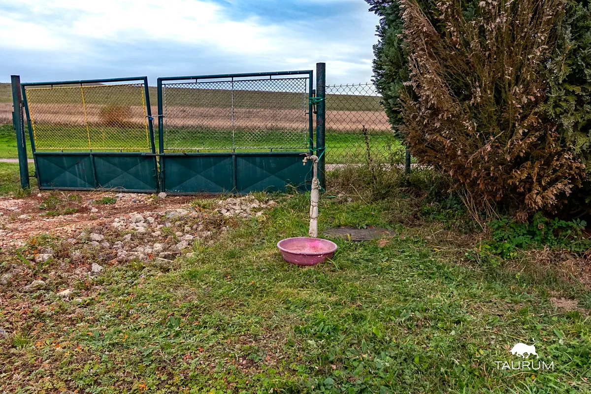 Fotka 13 z 22