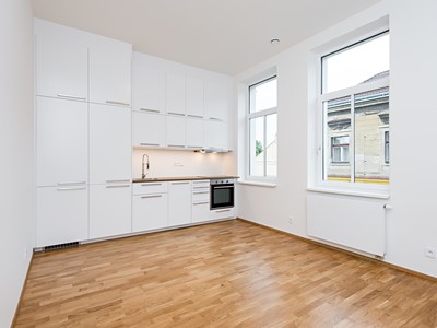 Pronájem bytu 1+kk 25 m² (Jednopodlažní)