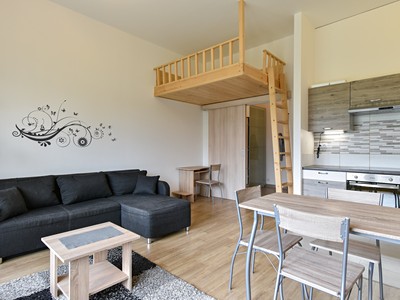 Pronájem bytu 1+kk 37 m²