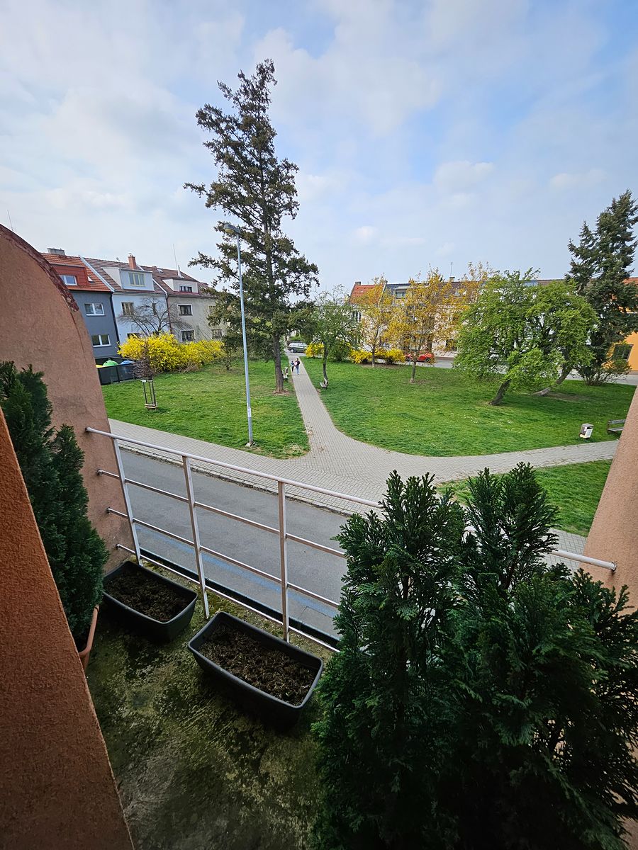 Prodej rodinného domu 110 m², pozemek 156 m² – fotografie 4