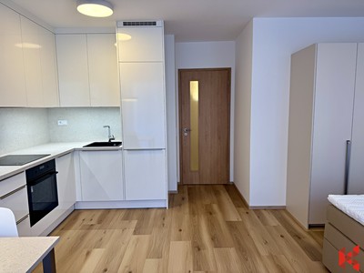 Pronájem bytu 1+kk 35 m² (Jednopodlažní)