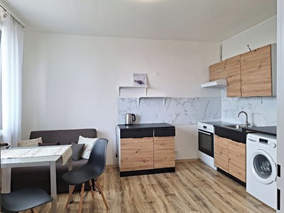 Prodej bytu 1+1 33 m²