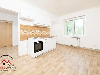 Pronájem bytu 1+1 45 m²