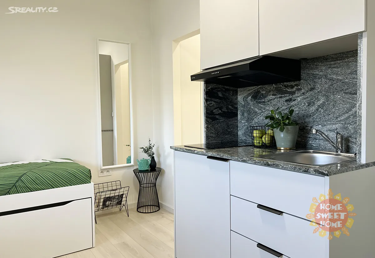 Pronájem bytu 1+kk 18 m² – pohled 3