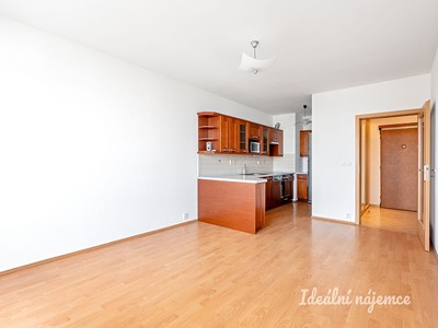 Pronájem bytu 2+kk 45 m²