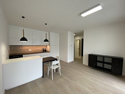 Pronájem bytu 2+kk 43 m²