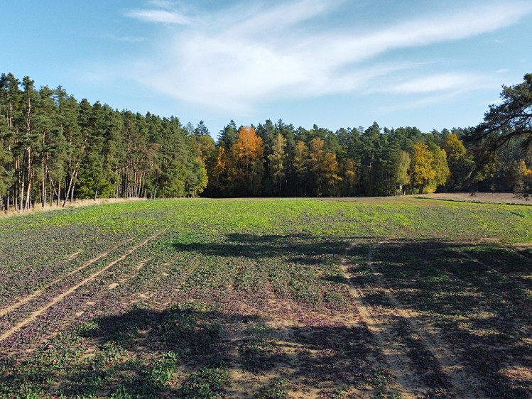 Prodej pozemku, 49 992 m² (4 z 10)