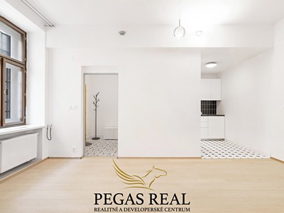 Pronájem bytu 2+kk 53 m²