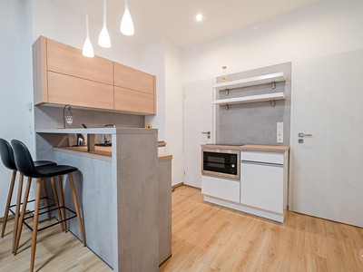 Pronájem bytu 1+kk 29 m²