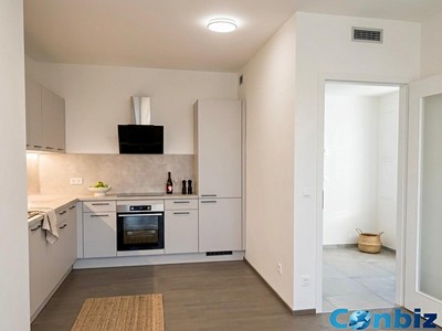 Pronájem bytu 2+kk 48 m²