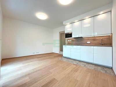 Pronájem bytu 1+kk 29 m²
