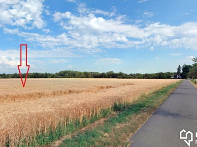 Prodej  pole 4 912 m²