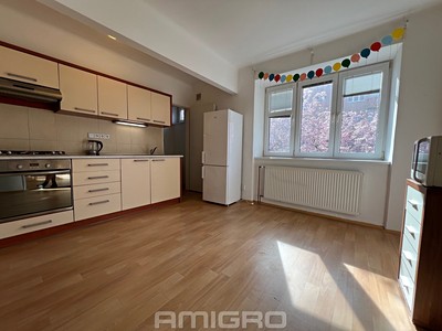 Pronájem bytu 2+kk 46 m²