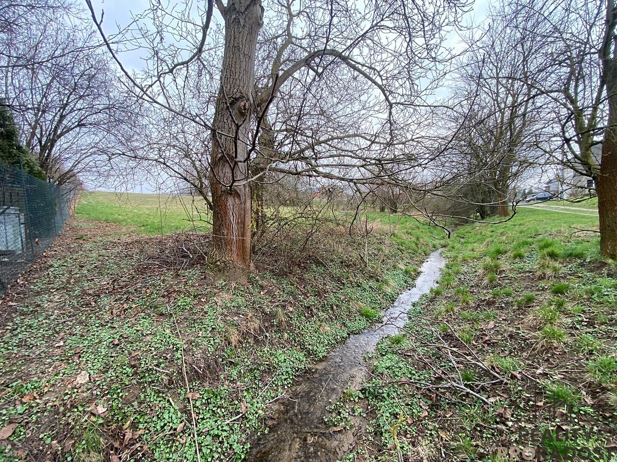 Prodej stavebního pozemku 2341 m² – fotografie 3