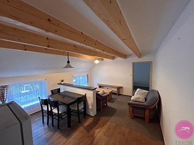 Pronájem bytu 2+kk 42 m² — photo 3