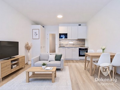 Pronájem bytu 1+kk 32 m²