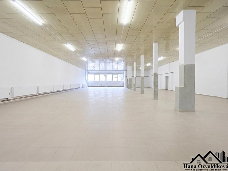 Gewerbefläche zur Miete, 450 m² (7 von 9)