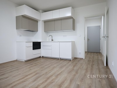 Pronájem bytu 1+kk 25 m²