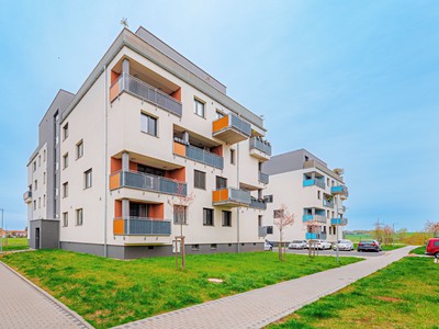 Pronájem bytu 2+kk 50 m² (Jednopodlažní)