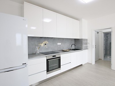 Pronájem bytu 1+kk 31 m²