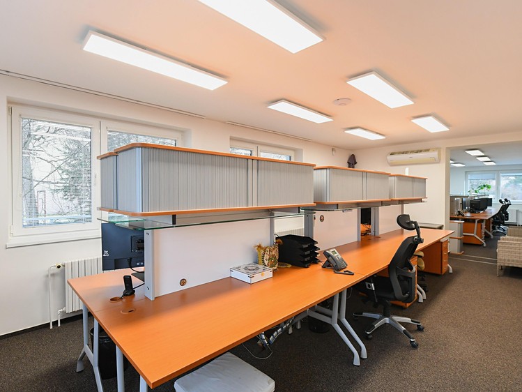 Gewerbefläche zur Miete, 700 m² (10 von 23)