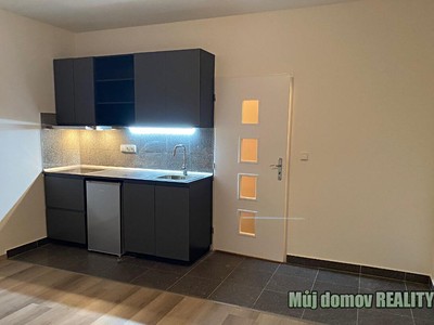 Pronájem bytu 1+kk 19 m² (Jednopodlažní)