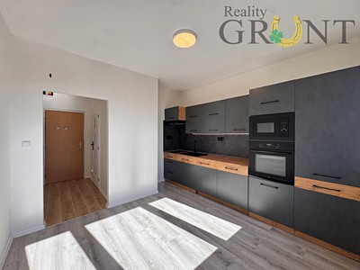 Pronájem bytu 1+1 38 m²