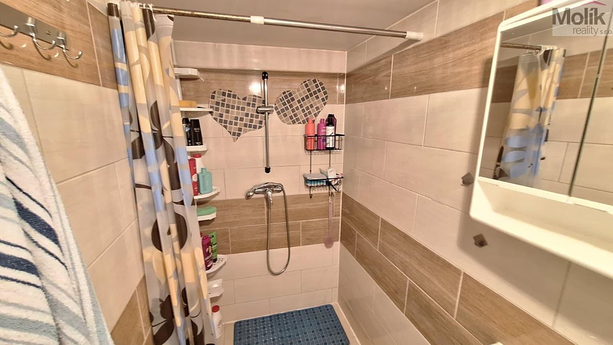 Prodej rodinného domu 200 m², pozemek 200 m² – fotografie 5