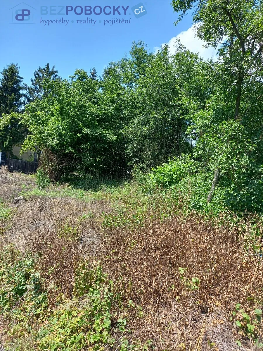 Fotka 14 z 16