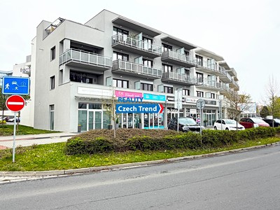 Pronájem bytu 1+kk 30 m²