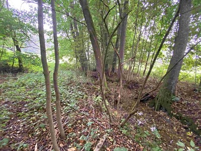 Helvíkovice, Okres Ústí nad Orlicí