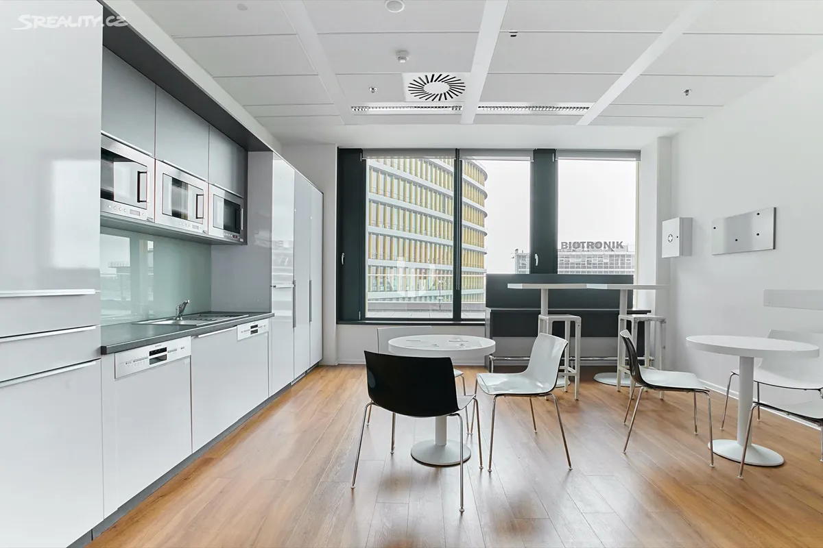 Pronájem kanceláře 859 m² – pohled 5