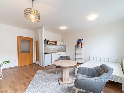 Pronájem bytu 1+kk 31 m²