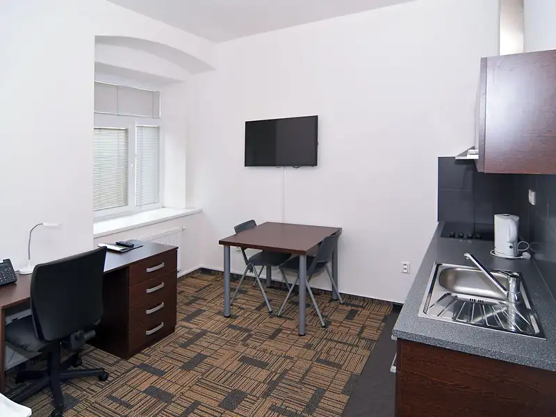 Pronájem bytu 1+kk 24 m², Brno – náhled fotky 2