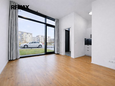 Pronájem bytu 1+kk 41 m² (Jednopodlažní)