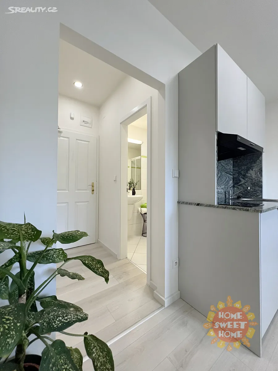 Pronájem bytu 1+kk 18 m² – pohled 4