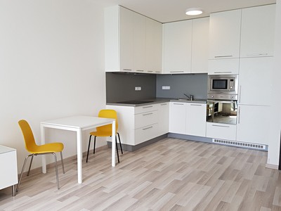 Pronájem bytu 1+kk 36 m²