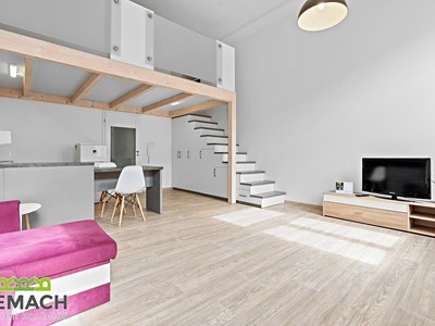 Pronájem bytu 1+kk 47 m² (Loft)