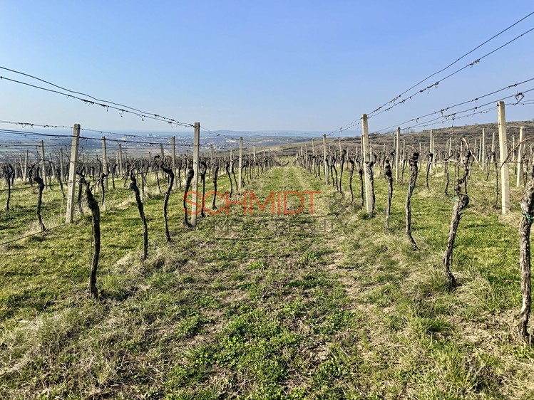 Grundstück zum Kauf, 11.748 m² (4 von 8)