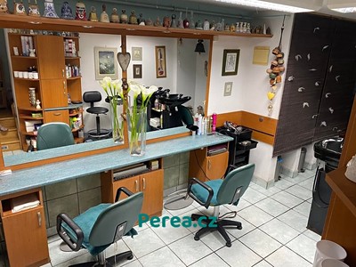 Pronájem komerční nemovitosti 30 m²